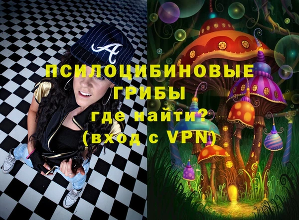 герыч Вязьма