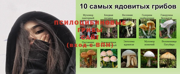 2c-b Вяземский