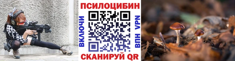 Псилоцибиновые грибы прущие грибы  Купить  Новодвинск 